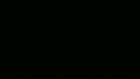 hornybluecollar online show from 10, 12, 2024