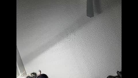 RamonaJ online show from 21, 2, 2025