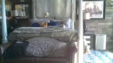 Snapshot of randybater8in chatting on 18, 1, 2026 Randy8inbater online show from 18, 1, 2026