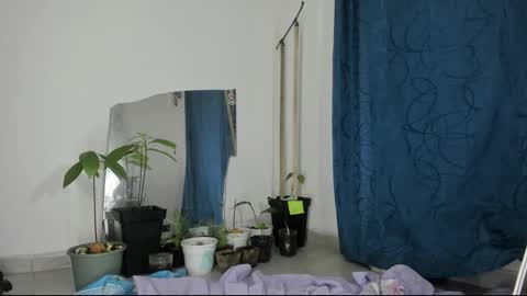 gata online show from 12, 3, 2025