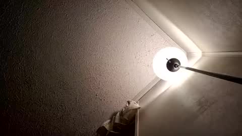 razalgirls online show from 15, 11, 2025