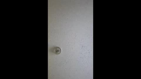 razalgirls online show from 3, 3, 2026