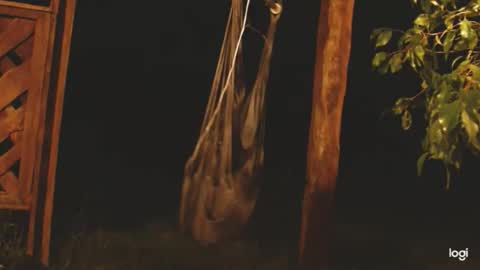 ready4aride2day online show from 24, 4, 2026