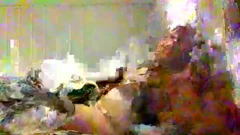 real_viking1 online show from 7, 2, 2026