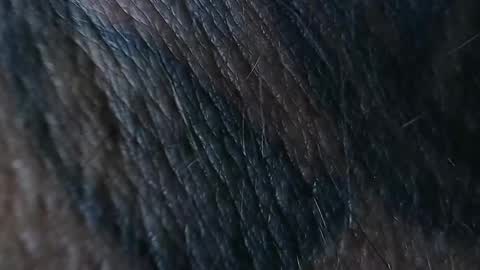 realrubpirate online show from 26, 9, 2025