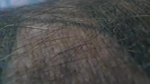 realrubpirate online show from 19, 10, 2025