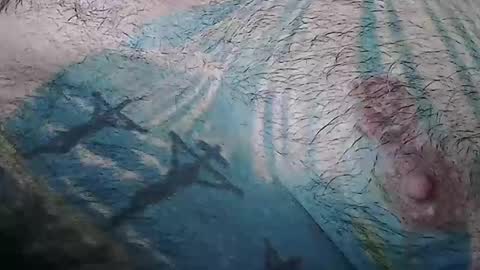 realrubpirate online show from 10, 1, 2026