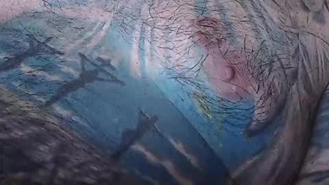 realrubpirate online show from 15, 2, 2026