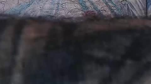 realrubpirate online show from 29, 4, 2026