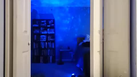 Snapshot of rebelstarlight chatting on 16, 2, 2026 rebelstarlight online show from 16, 2, 2026