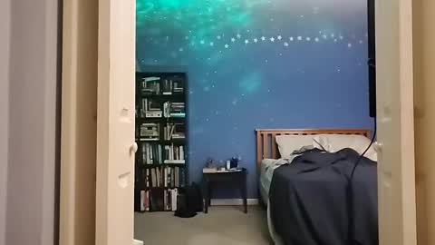 Snapshot of rebelstarlight chatting on 21, 2, 2026 rebelstarlight online show from 21, 2, 2026