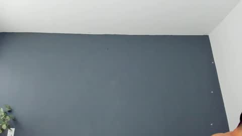 twitter REECET26 instagram RECCETAYLOR online show from 7, 11, 2025