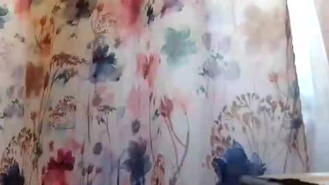 recka810 online show from 20, 2, 2025