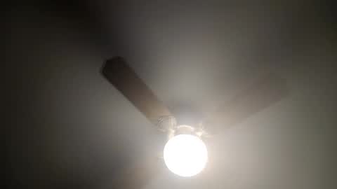 red24devils online show from 14, 2, 2025