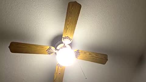 red24devils online show from 12, 9, 2025