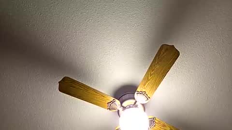 red24devils online show from 18, 2, 2026