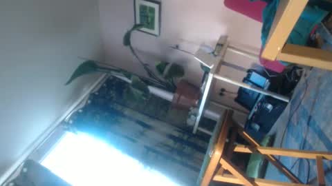 Snapshot of red69600986270 chatting on 8, 6, 2026 red69600986270 online show from 8, 6, 2026
