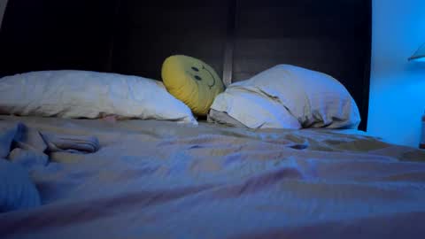 Snapshot of reeferleefer chatting on 1, 1, 2025 Lee online show from 1, 1, 2025