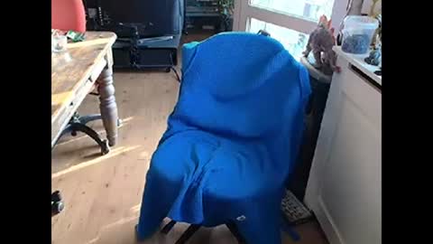 Snapshot of relaxyio chatting on 10, 3, 2025 relaxyio online show from 10, 3, 2025