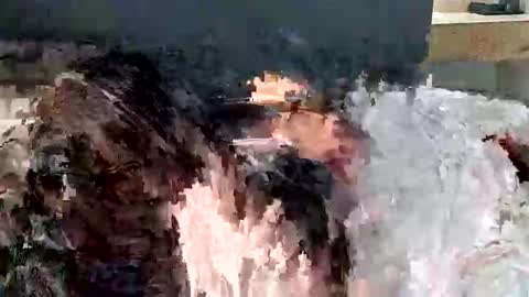 renaexx03 online show from 28, 9, 2025