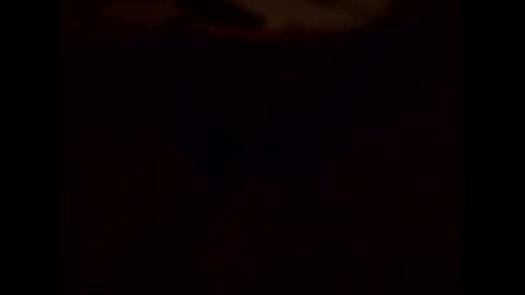 Shaved cock ready online show from 15, 1, 2025