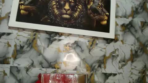 Snapshot of rigel_paxs chatting on 18, 11, 2025 rigel online show from 18, 11, 2025