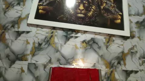 Snapshot of rigel_paxs chatting on 24, 2, 2026 rigel online show from 24, 2, 2026