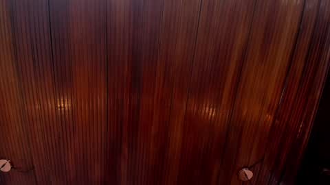 Snapshot of riley_reid_19 chatting on 24, 12, 2024 kamila online show from 24, 12, 2024