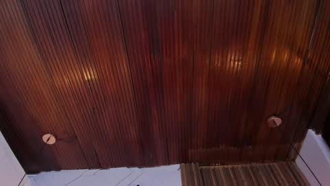 Snapshot of riley_reid_19 chatting on 18, 1, 2025 kamila online show from 18, 1, 2025