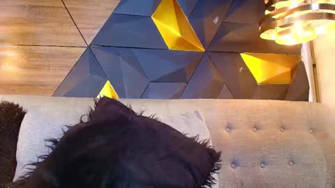 Snapshot of riley_reid_19 chatting on 17, 9, 2025 kamila online show from 17, 9, 2025