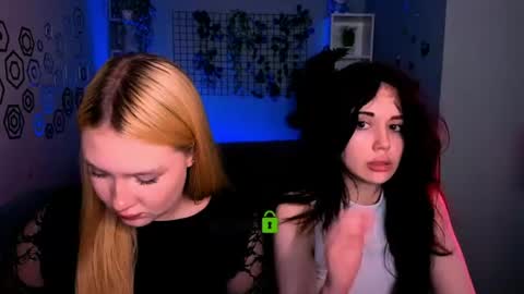 Meow online show from 8, 6, 2026