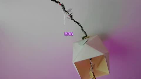 My name is Riley Like my broadcast pls 3 online show from 2, 6, 2026