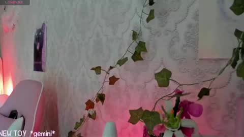My name is Riley Like my broadcast pls 3 online show from 26, 7, 2026