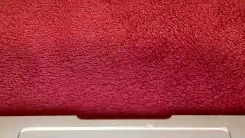 Snapshot of rimalovar chatting on 25, 10, 2025 rimalova online show from 25, 10, 2025