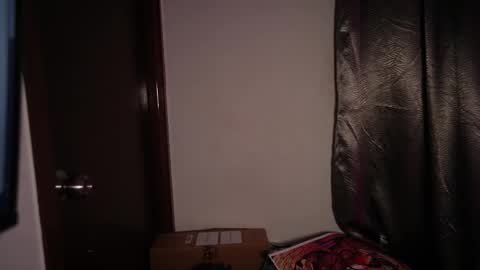 Snapshot of riniryokouwu chatting on 28, 10, 2025 online show from 28, 10, 2025