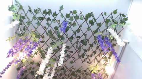 Risitos De Oro online show from 19, 4, 2026