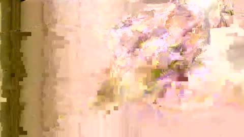 rlevey33 online show from 8, 4, 2026