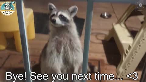 Ryan aka KeylimeRy online show from 24, 10, 2025