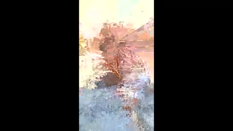 rob18997 online show from 7, 2, 2026