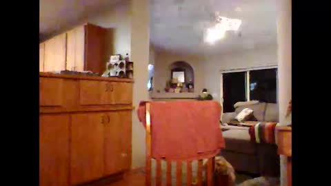 robo0000 online show from 20, 11, 2025