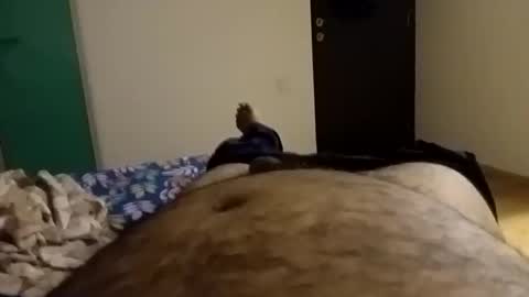 rockikoki online show from 9, 2, 2026