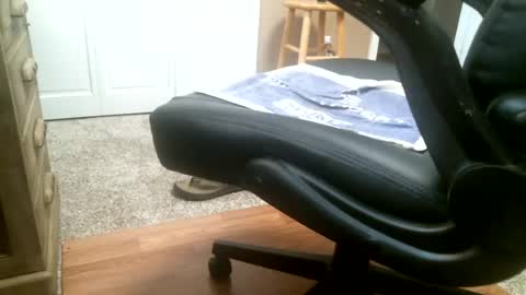 rocky_55 online show from 27, 7, 2026