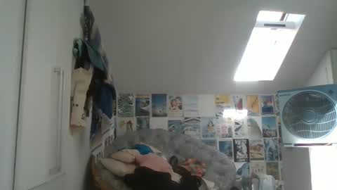 rodofra online show from 13, 3, 2026