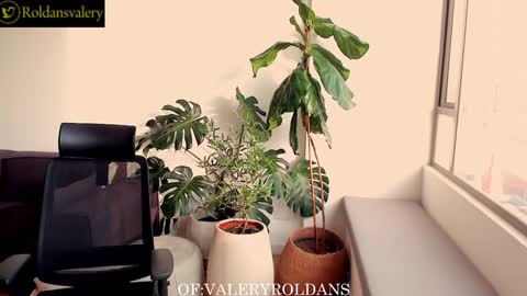 Valery Roldans online show from 13, 12, 2024