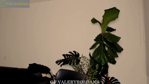 Valery Roldans online show from 4, 2, 2025