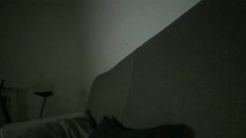 the Roman Gladiator online show from 12, 3, 2025