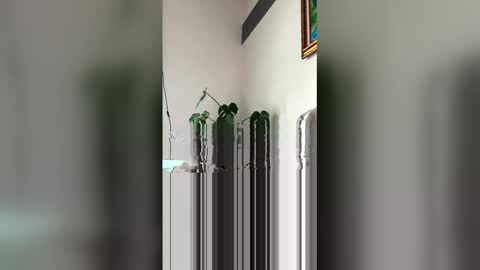 Snapshot of ronihall chatting on 29, 3, 2026 Roni Hall online show from 29, 3, 2026