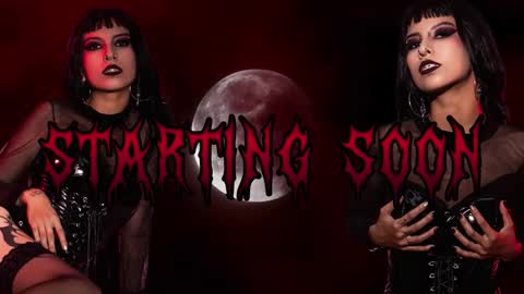 Ally online show from 8, 3, 2026