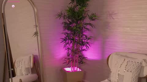 Snapshot of roseferrera chatting on 8, 3, 2026 Rose online show from 8, 3, 2026