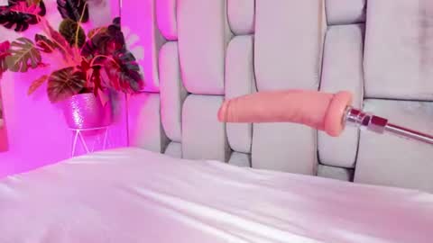 Rose online show from 2, 7, 2026
